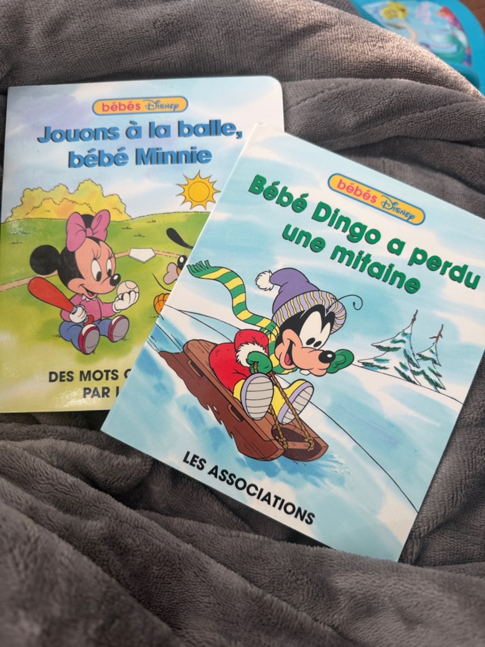 Disney Baby Goofy Winter Sled Book – Green, Red, Purple